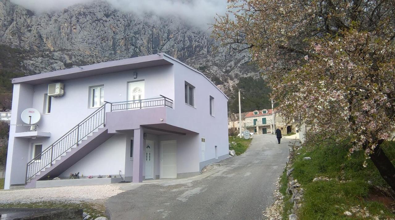 Apartman Koko With Private Jacuzzi Makarska Eksteriør billede